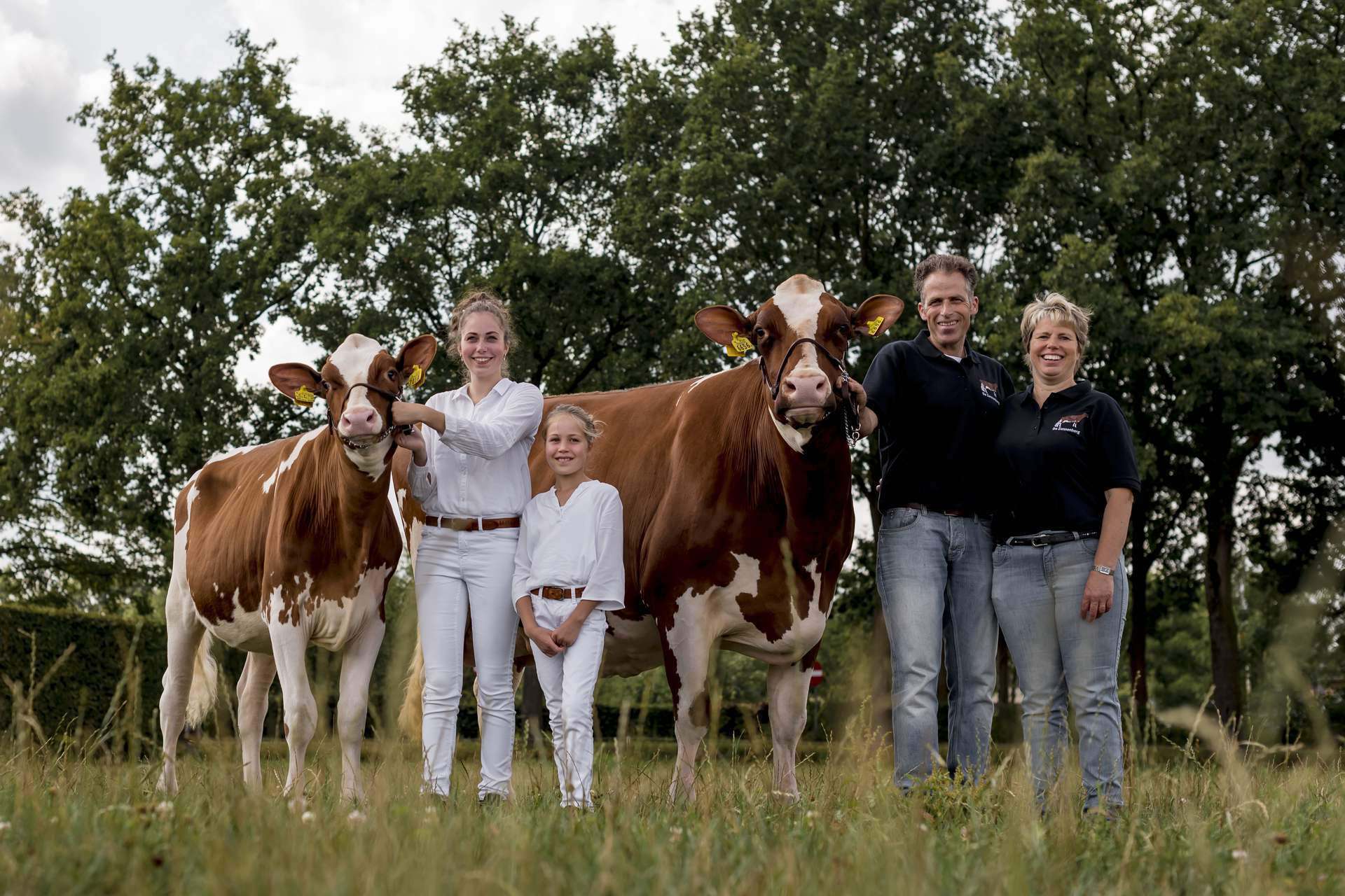Maatschappelijke betrokkenheid