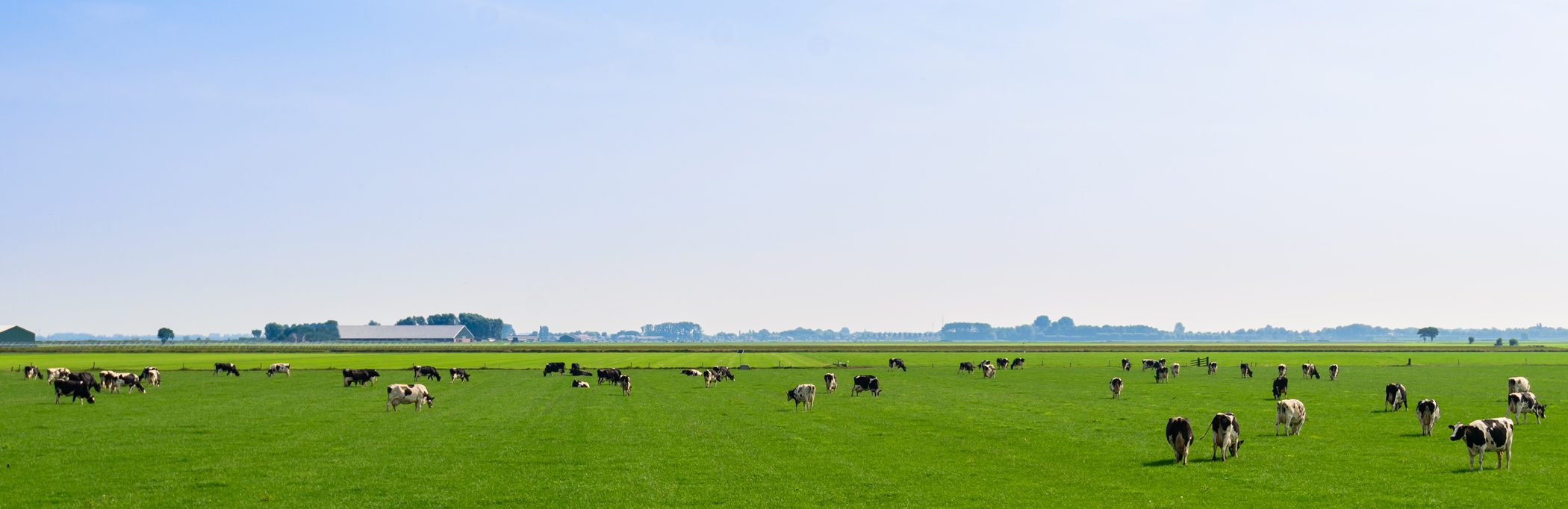 Court of Appeal finds against DOC Kaas U.A.