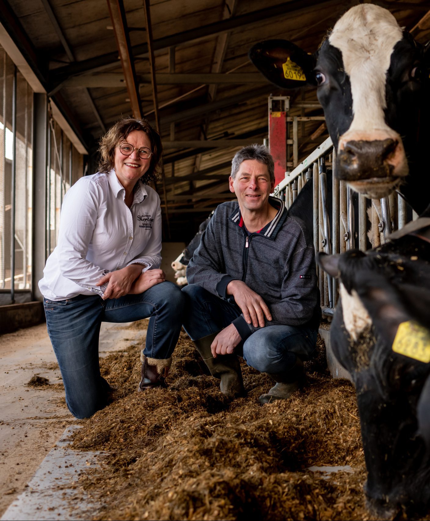 Diergezondheid & Dierenwelzijn