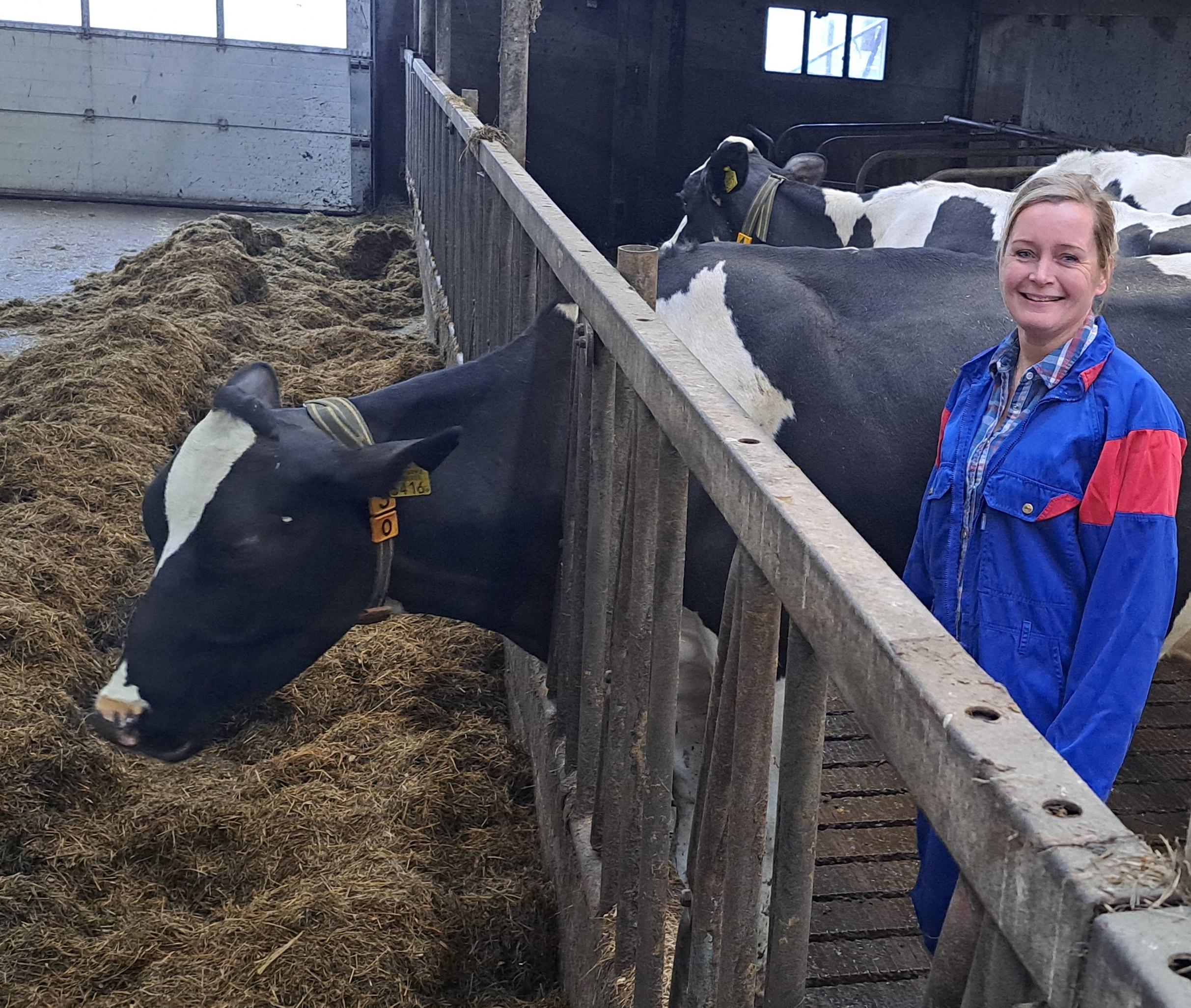 Diergezondheid & Dierenwelzijn