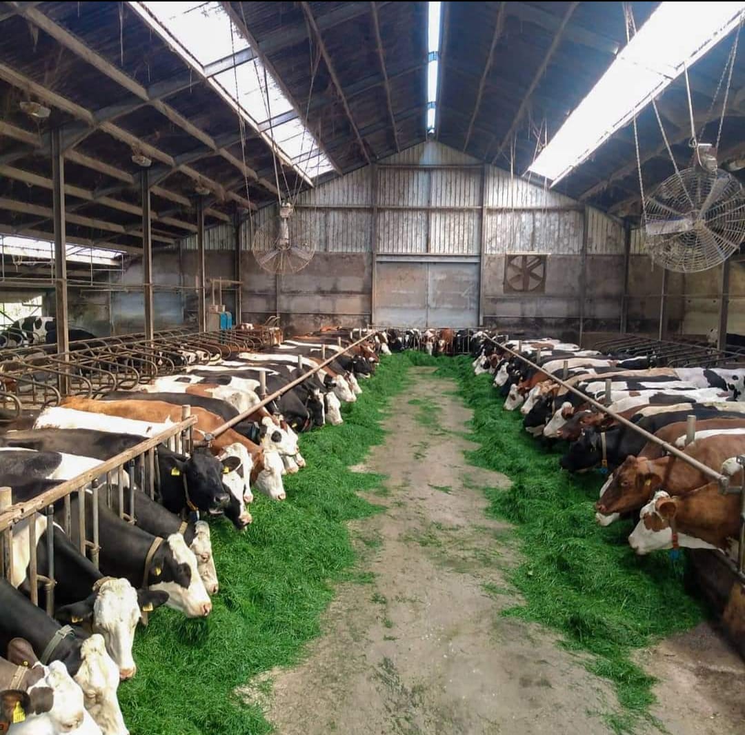 Biodiversiteit & milieu